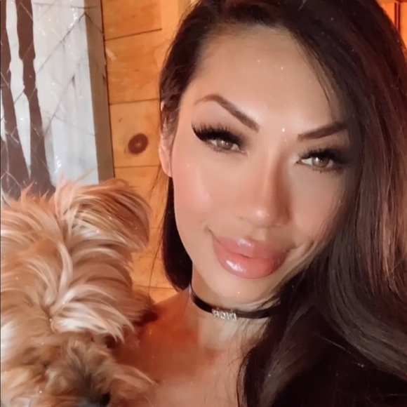 Meet your Posher, Sophie - Picture 1 of 1